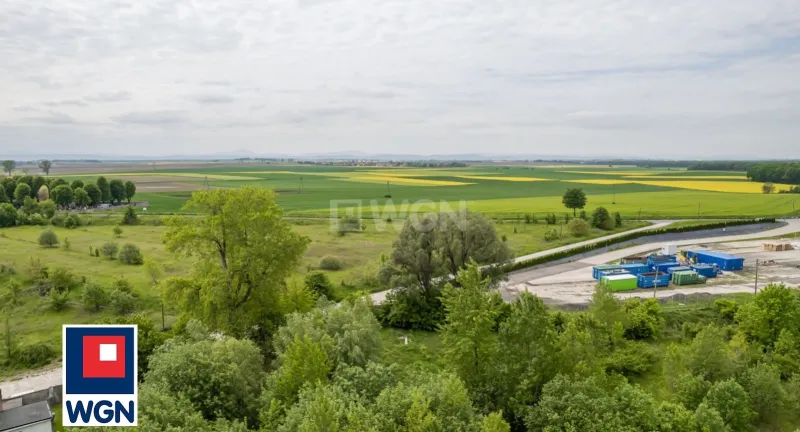 Grunt aktywizacja gospodarcza na  wynajem Pastuchów - NA WYNAJEM grunt inwestycyjny 92.284 m2 z MPZP, Pastuchów, powiat świdnicki